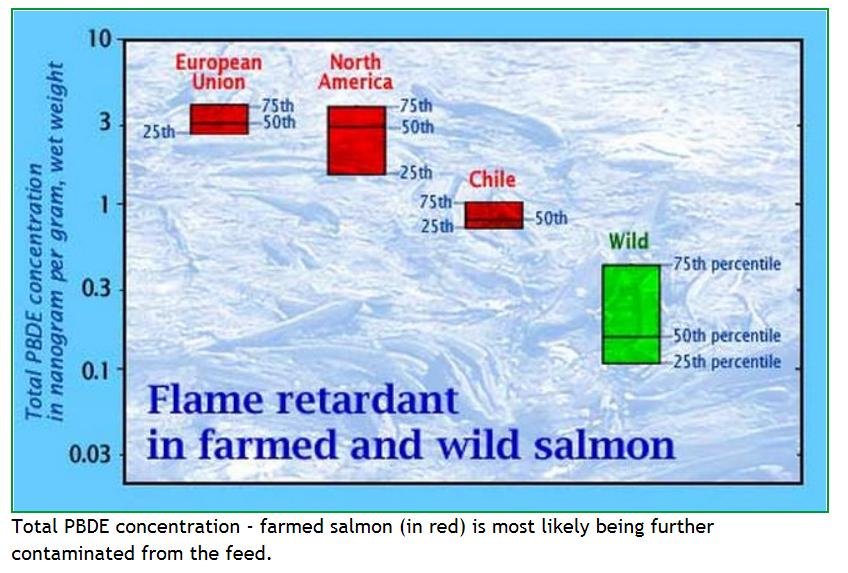 Flame retardants farmed salmon Flame retardants farmed salmon