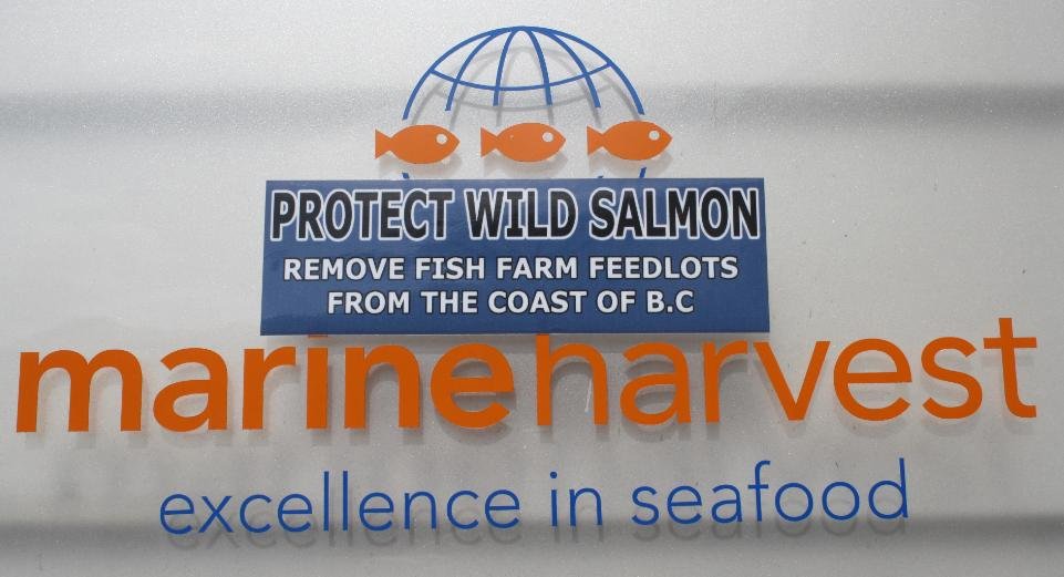 Photo #20 MH logo with protect sticker Photo #20 MH logo with protect sticker