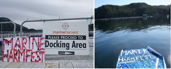 Marine Harmfest low res #2 Marine Harmfest low res #2