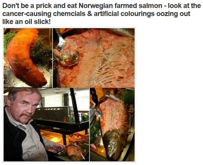 Kurt with salmon and don't be a prick comment