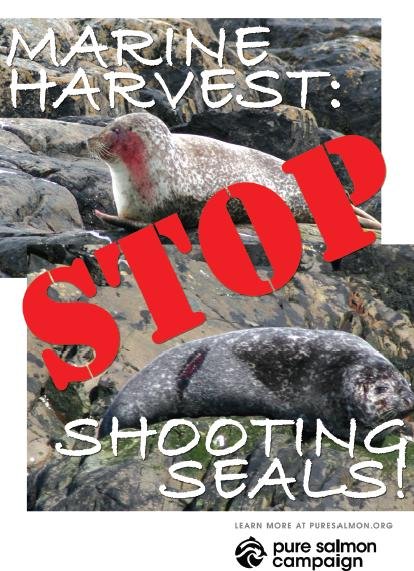 MH stop shooting MH stop shooting