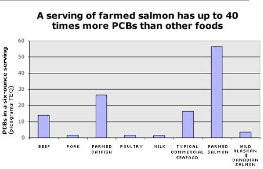 Farmed salmon toxic Farmed salmon toxic