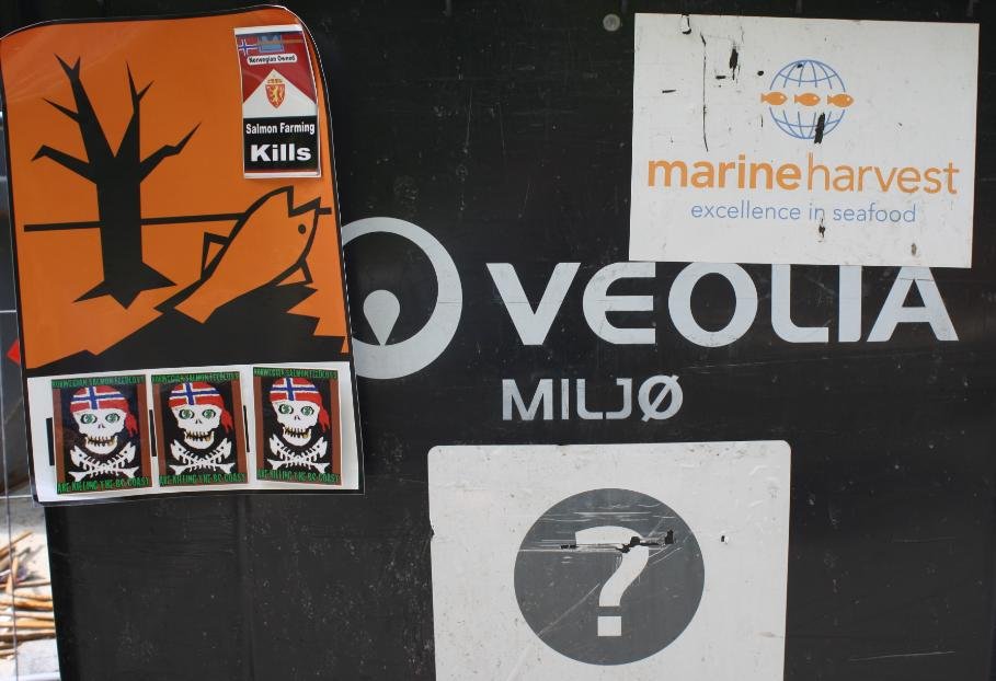 Photo #19 question mark trash Photo #19 question mark trash