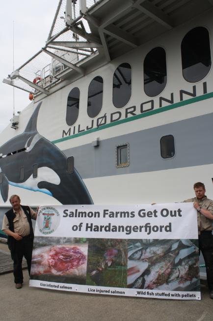 Hardangerfjord #2 Hardangerfjord #2