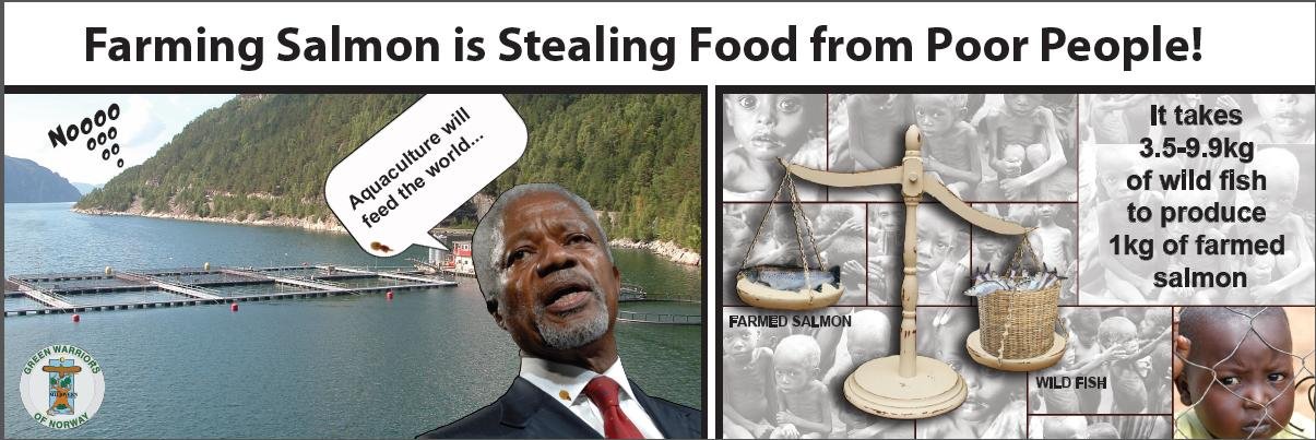 Kofi Banner #1 Lowest Res Kofi Banner #1 Lowest Res