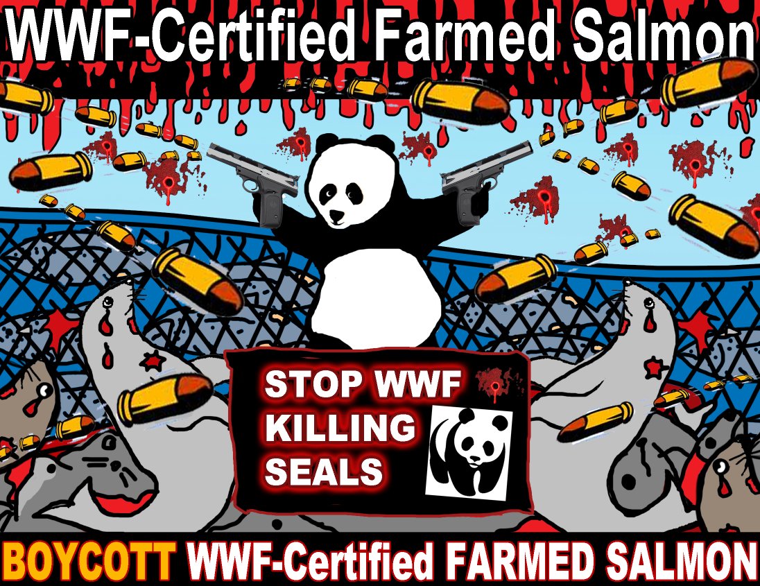 WWF panda shooting graphic WWF panda shooting graphic