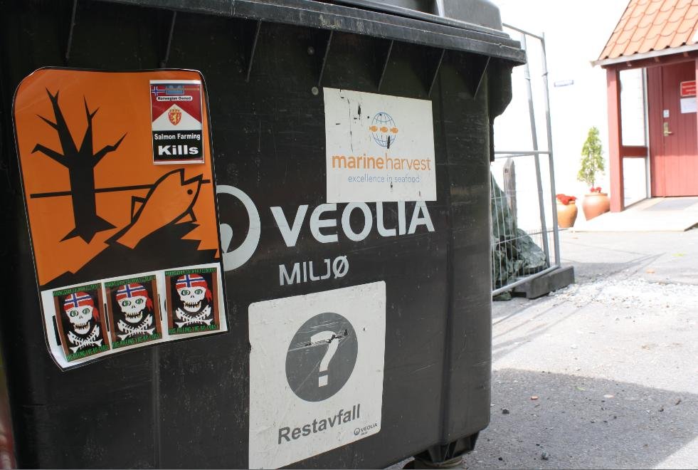 Photo #21 question mark dumpster Photo #21 question mark dumpster