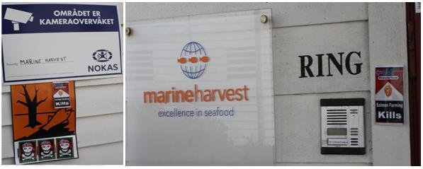 Photo #22 camera and ring Photo #22 camera and ring