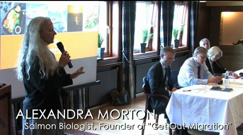 Photo #12 alex at agm Photo #12 alex at agm