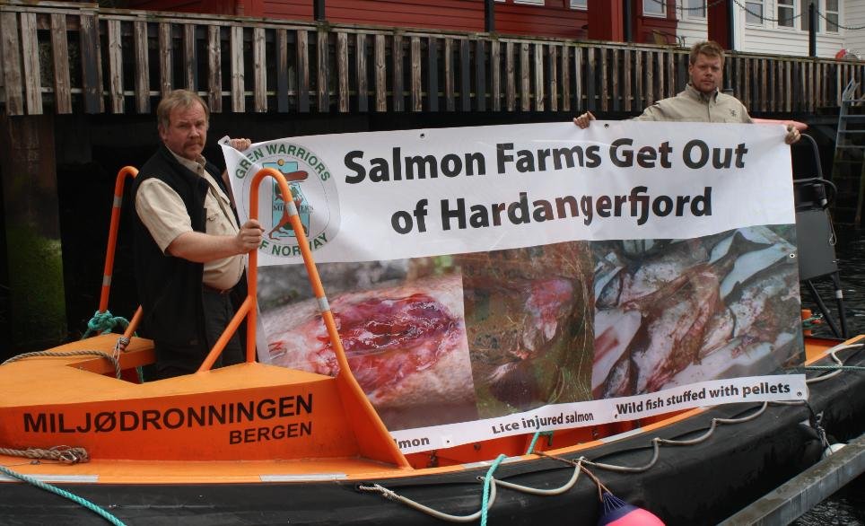 Hardangerfjord #1 Hardangerfjord #1