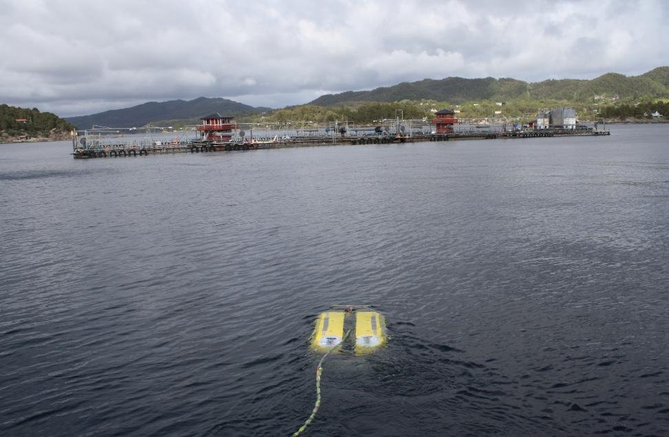 Hardangerfjord #3 Hardangerfjord #3