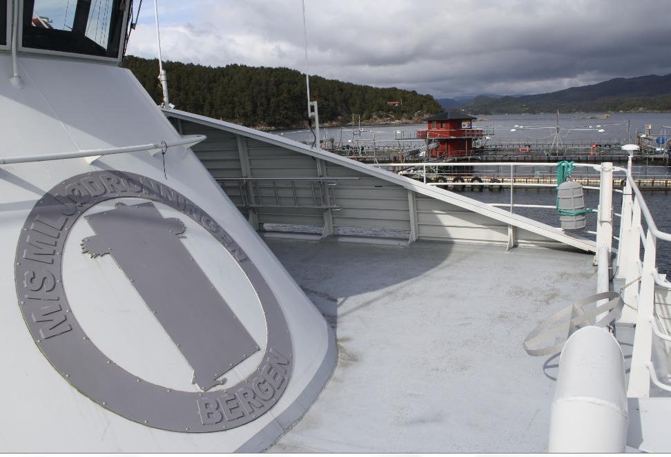 Hardangerfjord #10 Hardangerfjord #10