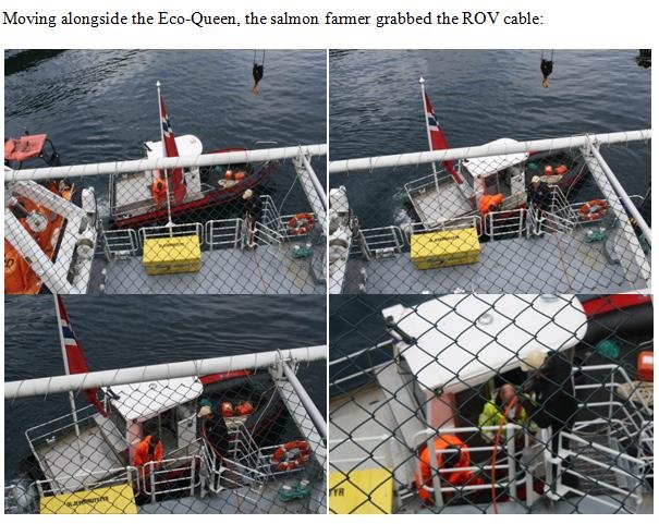 Water wars #2 Water wars #2