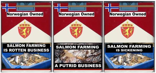 3 pack rotten sickening putrid 3 pack rotten sickening putrid