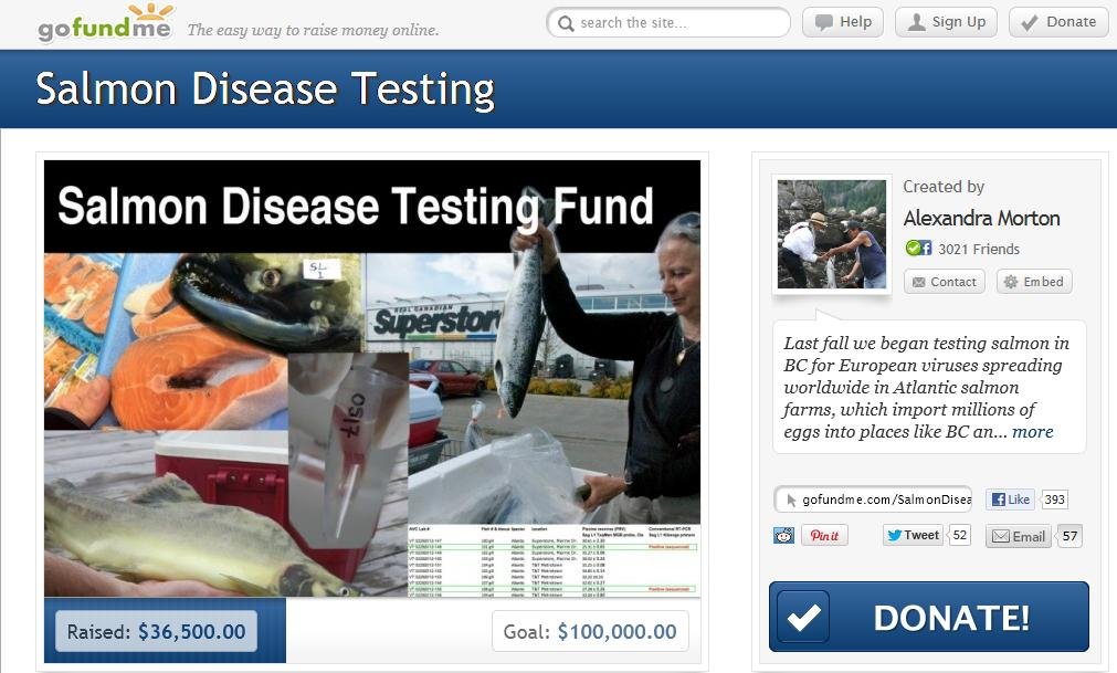 Go Fund me Alex #14 Go Fund me Alex #14