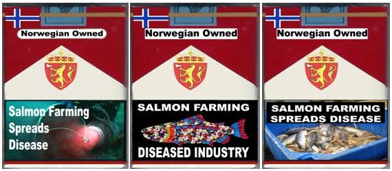 3 pack diseases 3 pack diseases