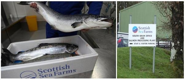 Scottish sea farms #12 South Shian processing plant Scottish sea farms #12 South Shian processing plant