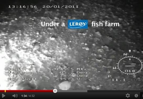 Leroy video from Green warriors #2 Leroy video from Green warriors #2