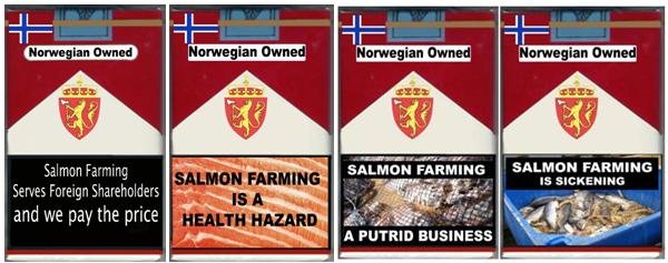 4 pack health hazard 4 pack health hazard