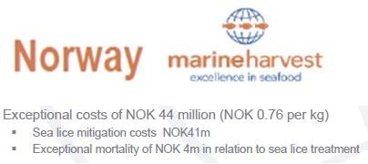 MH sea lice norway MH sea lice norway