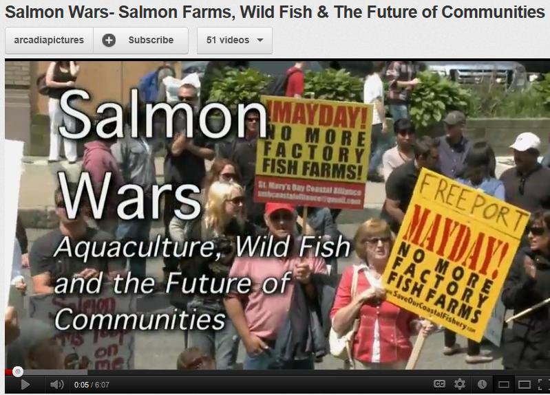 Salmon wars trailer Salmon wars trailer