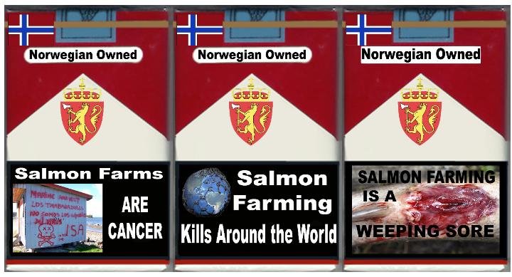 3 pack cancer global weeping sore 3 pack cancer global weeping sore