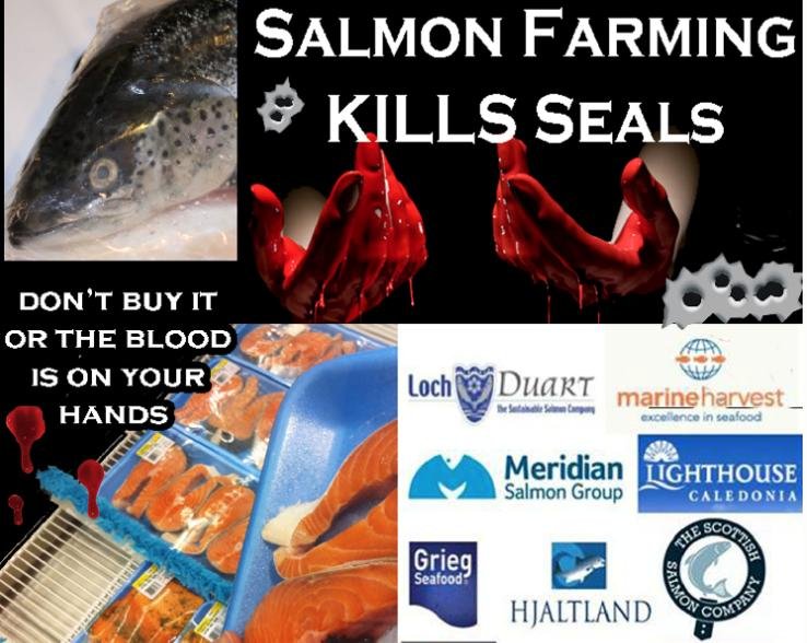 Blood on hands #2 Blood on hands #2