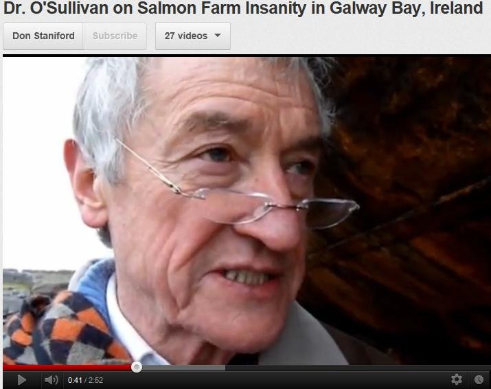 Roderick O'Sullivan video Roderick O'Sullivan video