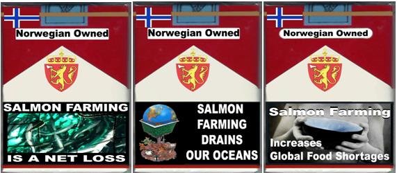 3 pack net loss 3 pack net loss