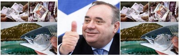 Alex Salmond thumbs up salmon farms Alex Salmond thumbs up salmon farms
