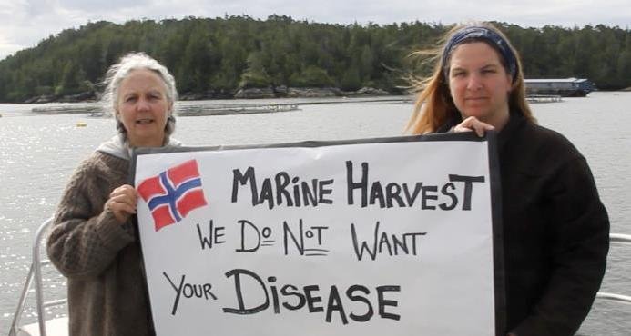 Marine Harvest we do not want your disease Alex & Anissa lowest res Marine Harvest we do not want your disease Alex & Anissa lowest res