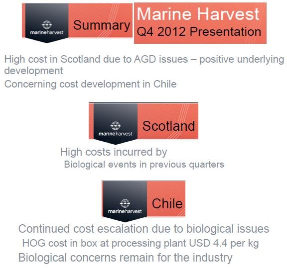 Q4 2012 presentation summary Q4 2012 presentation summary