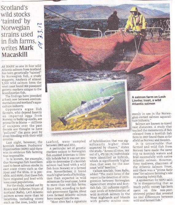 Sunday Times Viking Invasion article Sunday Times Viking Invasion article