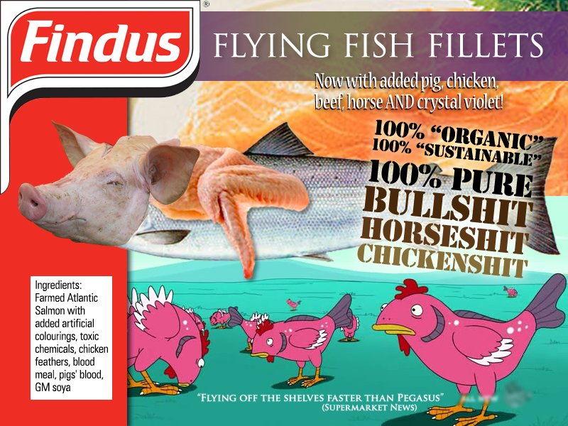 Findus Flying Fish Fillets 100% Findus Flying Fish Fillets 100%