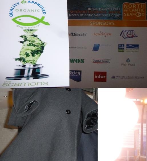 Scamons BIM Donal Maquire Scamons BIM Donal Maquire