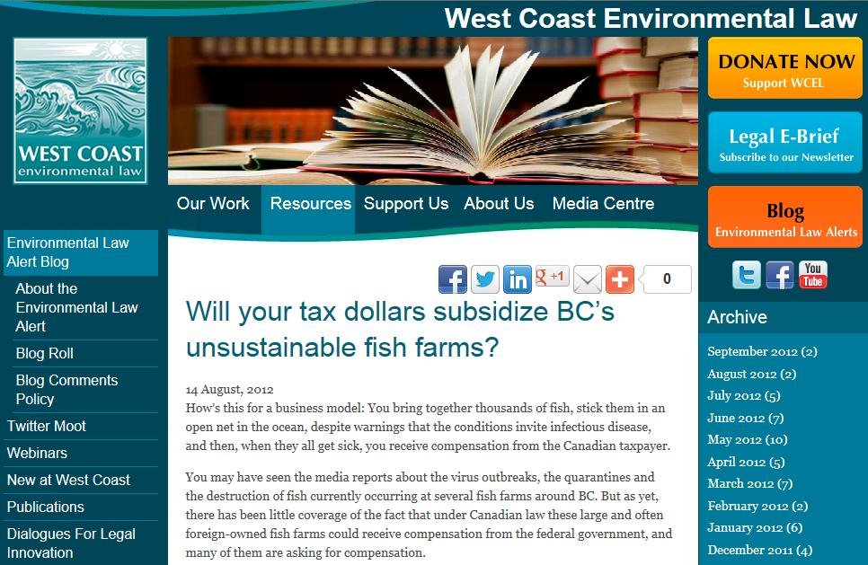 Photo #14 WCEL Photo #14 WCEL