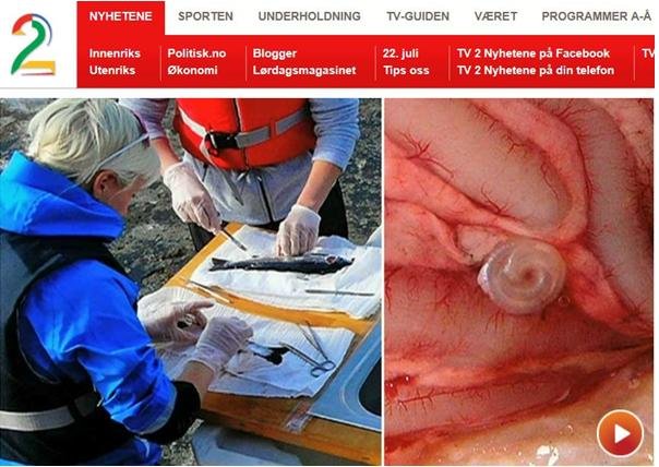 TV2 on nematode worms #3 TV2 on nematode worms #3