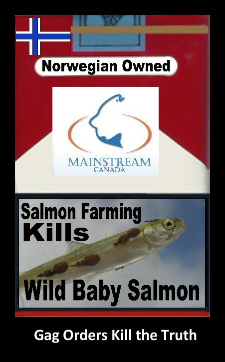 Cigarette 116 Mainstream Kills Wild Baby Salmon Cigarette 116 Mainstream Kills Wild Baby Salmon