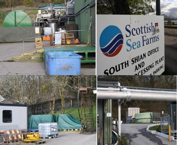 Scottish sea farms #17 South Shian collage Scottish sea farms #17 South Shian collage