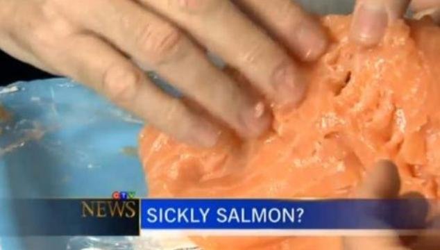 Sick Salmon Sick Salmon