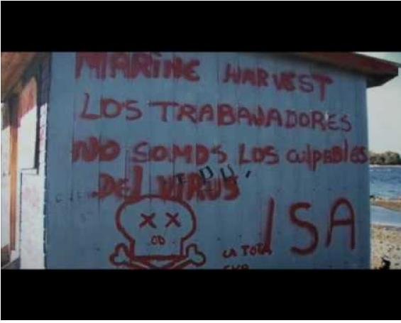 Blog #17 FSE ISA Blog #17 FSE ISA