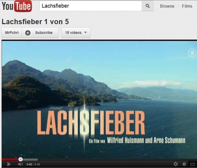 Blog #29 Lachsfieber Blog #29 Lachsfieber