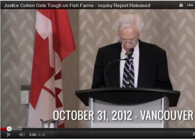 Cohen on Final report Common Sense video Cohen on Final report Common Sense video