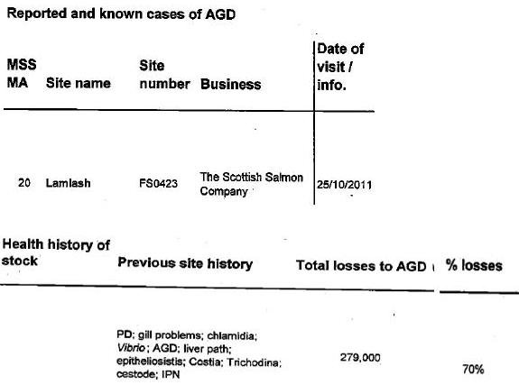Arran #13 FOI on Lamlash Arran #13 FOI on Lamlash