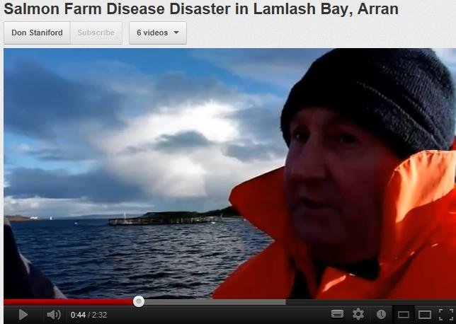 Howard Wood on video at Arran Howard Wood on video at Arran