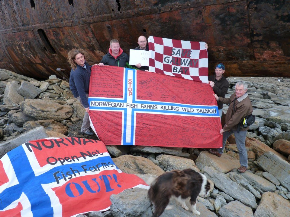 Photo #10 shipwreck group shot Photo #10 shipwreck group shot