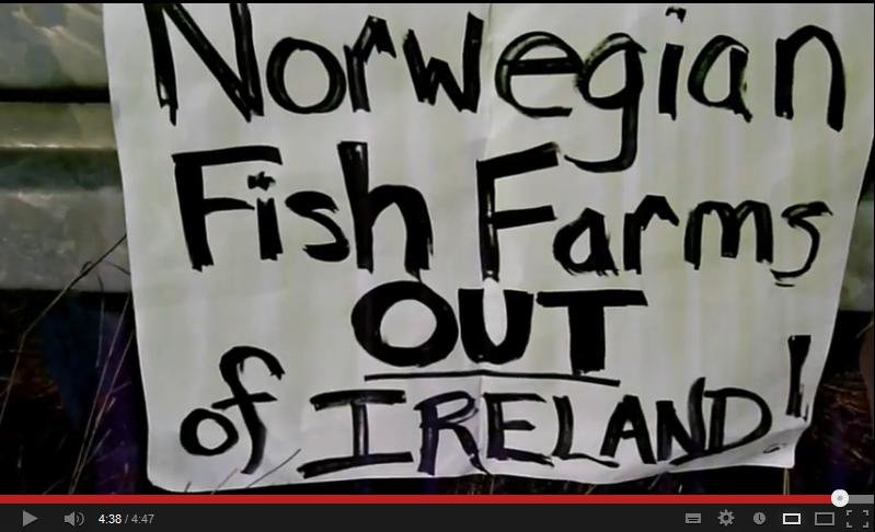 Noel Carr video #1 Noel Carr video #1