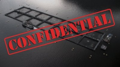 Confidential salmon Confidential salmon