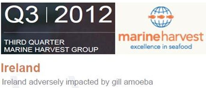 MH Ireland Q3 2012 MH Ireland Q3 2012