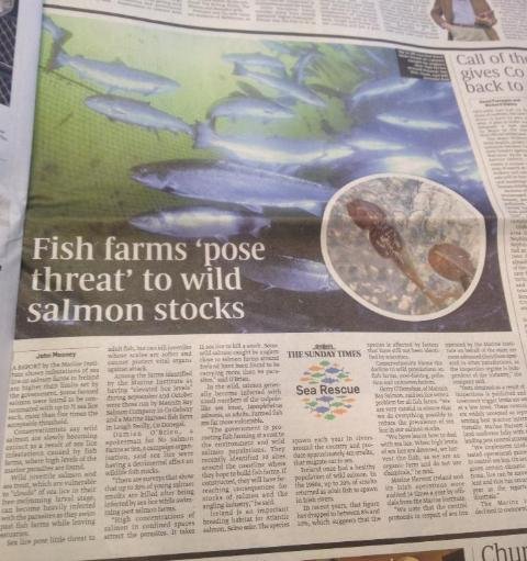 Sunday Times Ireland 16 Dec 2012 #2 Sunday Times Ireland 16 Dec 2012 #2